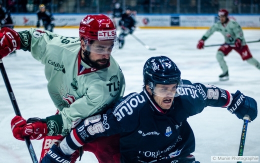 Photo hockey Ligue Magnus - Ligue Magnus : 29ème journée : Angers  vs Cergy-Pontoise - Angers s