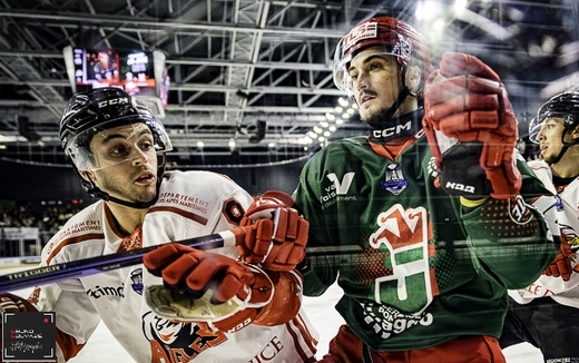 Photo hockey Ligue Magnus - Ligue Magnus : 29ème journée : Cergy-Pontoise vs Nice - La belle opération de Nice !