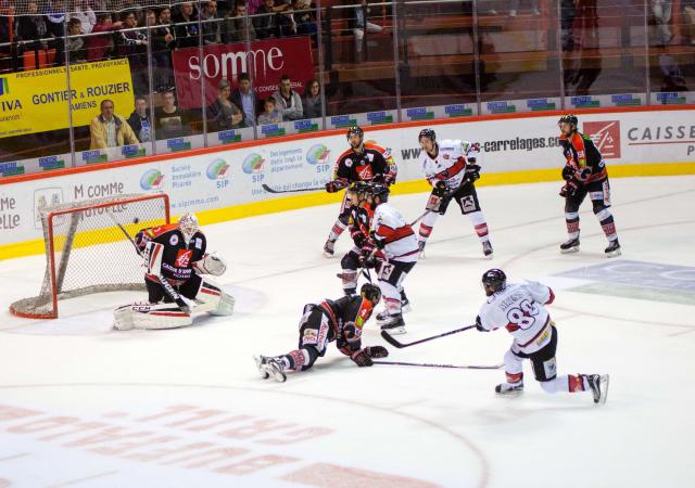 Photo hockey Ligue Magnus - Ligue Magnus : 2ème journée : Amiens  vs Briançon  - Champagne pour les Gothiques !
