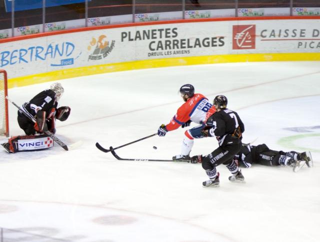 Photo hockey Ligue Magnus - Ligue Magnus : 30ème journée : Amiens  vs Angers  - LM : Champagne assomme Angers
