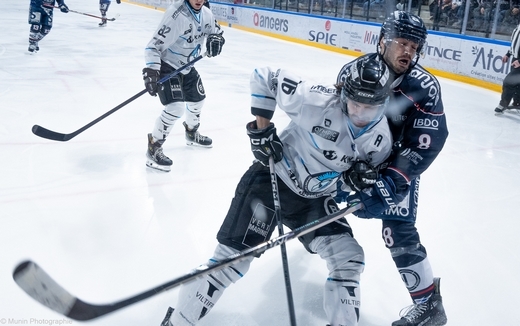 Photo hockey Ligue Magnus - Ligue Magnus : 30ème journée : Angers vs Marseille - Angers s Photo hockey Ligue Magnus - Ligue Magnus : 30ème journée : Angers vs Marseille - Angers s