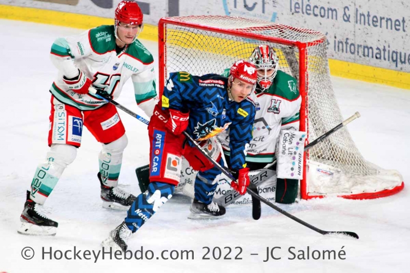 Photo hockey Ligue Magnus - Ligue Magnus : 31ème journée : Grenoble  vs Anglet - Et de 15 pour Grenoble ! 