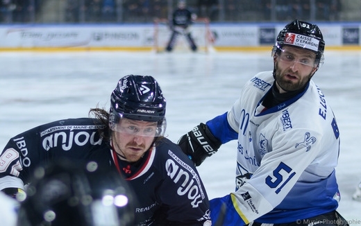 Photo hockey Ligue Magnus - Ligue Magnus : 33ème journée : Angers  vs Gap  - Angers s