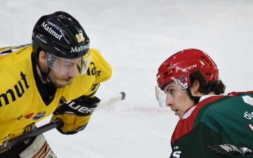 Photo hockey Ligue Magnus - Ligue Magnus : 35ème journée : Cergy-Pontoise vs Rouen - Les Dragons coiffent les jokers sur le fil