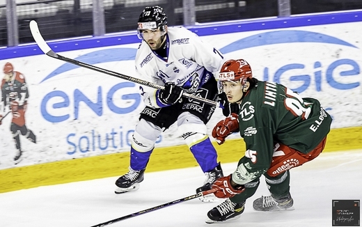 Photo hockey Ligue Magnus - Ligue Magnus : 37ème journée : Cergy-Pontoise vs Gap  - Les Rapaces jouent leur Joker