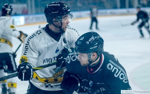 Photo hockey Ligue Magnus - Ligue Magnus : 38ème journée : Angers  vs Rouen - Angers s