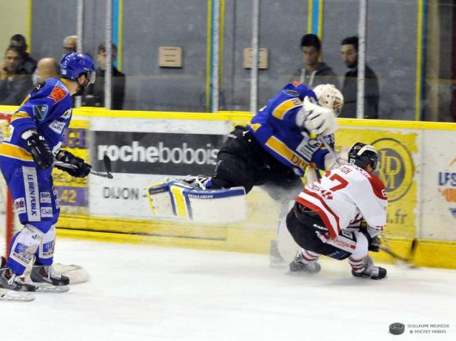Photo hockey Ligue Magnus - Ligue Magnus : 3ème journée : Dijon  vs Morzine-Avoriaz - Messire le Duc chasse le Pingouin