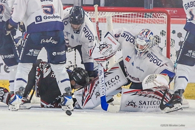 Photo hockey Ligue Magnus - Ligue Magnus : 3Ã¨me journÃ©e  : Amiens  vs Angers  - Angers s