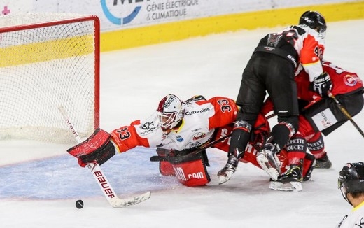 Photo hockey Ligue Magnus - Ligue Magnus : 3ème journée : Amiens  vs Nice - Nice s\