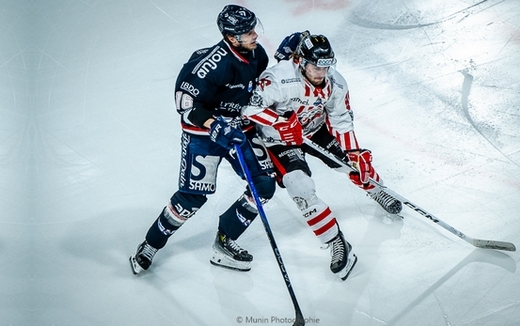 Photo hockey Ligue Magnus - Ligue Magnus : 40ème journée : Angers  vs Nice - Angers déroule face à Nice