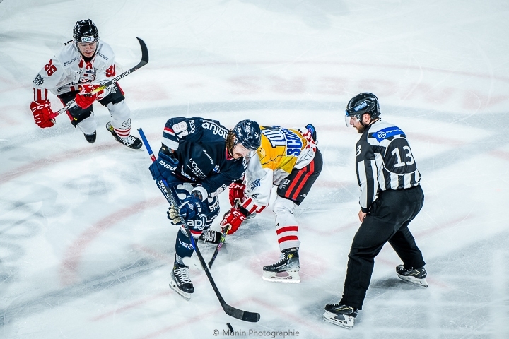 Photo hockey Ligue Magnus - Ligue Magnus : 40ème journée : Angers  vs Nice - Angers déroule face à Nice
