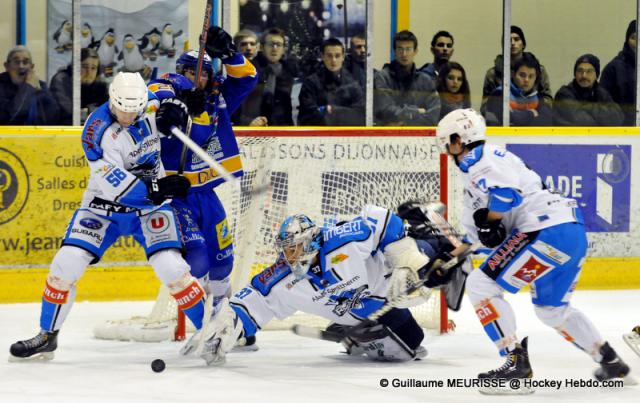 Photo hockey Ligue Magnus - Ligue Magnus : 4ème journée : Dijon  vs Gap  - Messire le Duc déplume les Rapaces