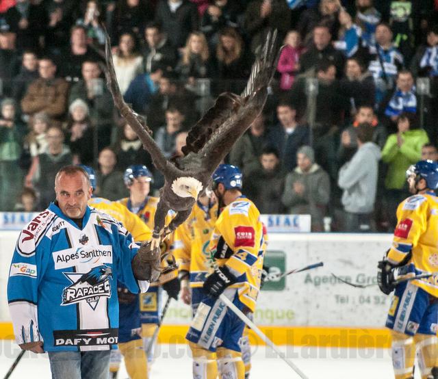 Photo hockey Ligue Magnus - Ligue Magnus : 8ème journée : Gap  vs Dijon  - LM : Gap se  rassure face aux ducs de Dijon.