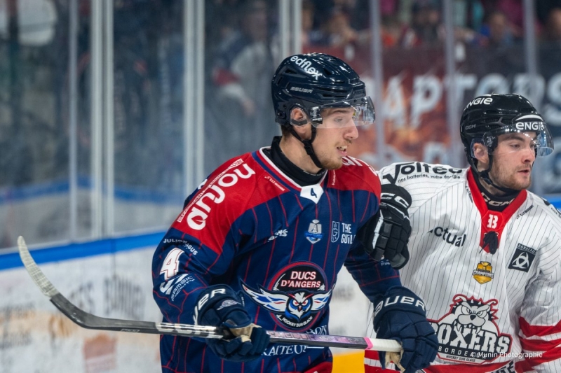 Photo hockey Ligue Magnus - Ligue Magnus : 8Ã¨me journÃ©e  : Angers  vs Bordeaux - LM : Les Ducs retrouvent le sourire face à Bordeaux