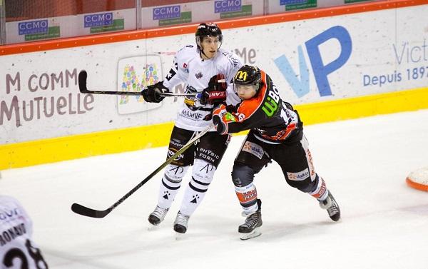 Photo hockey Ligue Magnus - Ligue Magnus : 8ème journée : Amiens vs Brest - Fin de série à domicile pour les Gothiques Photo hockey Ligue Magnus - Ligue Magnus : 8ème journée : Amiens vs Brest - Fin de série à domicile pour les Gothiques