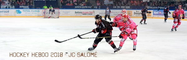 Photo hockey Ligue Magnus - Ligue Magnus : 9ème journée : Grenoble  vs Bordeaux - Grenoble tombe sur un os