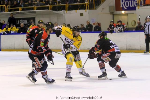 Photo hockey Ligue Magnus - Ligue Magnus : 9ème journée : Rouen vs Amiens - Un Derby pour repartir Photo hockey Ligue Magnus - Ligue Magnus : 9ème journée : Rouen vs Amiens - Un Derby pour repartir