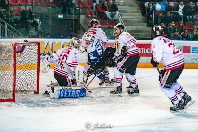 Photo hockey Ligue Magnus - Ligue Magnus : 9ème journée : Gap vs Morzine-Avoriaz - Les Pingouins n\ Photo hockey Ligue Magnus - Ligue Magnus : 9ème journée : Gap vs Morzine-Avoriaz - Les Pingouins n\