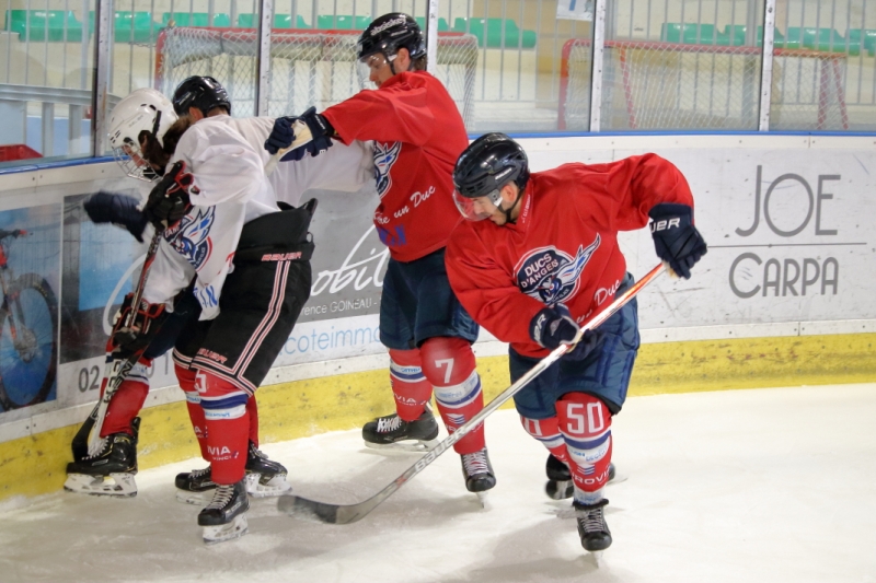 Photo hockey Ligue Magnus - Ligue Magnus - Les Ducs d’Angers ont retrouvé le Haras Photo hockey Ligue Magnus - Ligue Magnus - Les Ducs d’Angers ont retrouvé le Haras