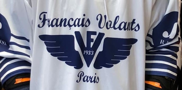Photo hockey Ligue Magnus - Ligue Magnus - LOGOS DES CLUBS : UN VÉRITABLE BESTIAIRE !