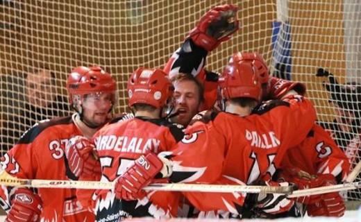 Photo hockey Ligue Magnus - Ligue Magnus : Neuilly/Marne (Les Bisons) - Présentation : Neuilly/Marne 2009-2010 
