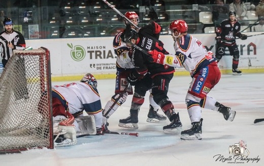 Photo hockey Ligue Magnus - Ligue Magnus :19ème journée : Bordeaux vs Grenoble  - Les loups  frappent six fois