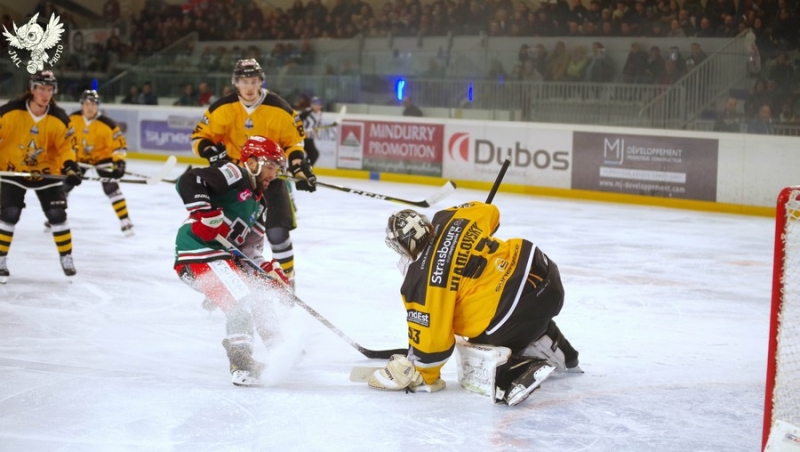 Photo hockey Ligue Magnus - Ligue Magnus :19ème journée : Anglet vs Strasbourg  - Strasbourg s\