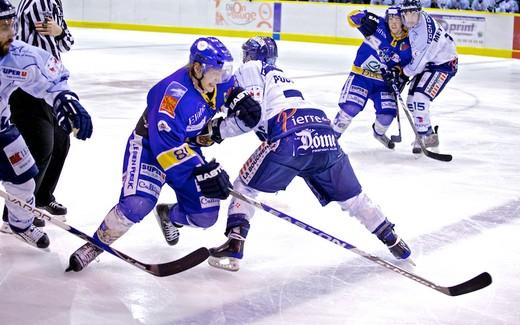 Photo hockey Ligue Magnus - Ligue Magnus: 23ème journée : Dijon  vs Angers  - Des grands Ducs, bourguignons