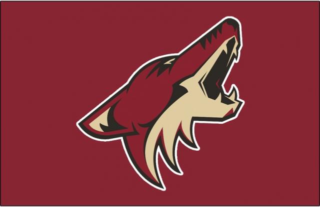 Photo hockey NHL : National Hockey League - AHL - NHL : National Hockey League - AHL - NHL : Les Coyotes restent à Glendale