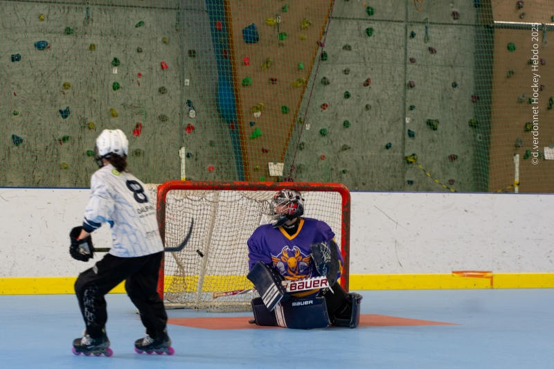 Photo hockey Roller Hockey - Roller Hockey - Roller : 1er tournoi féminin à Villard Bonnot