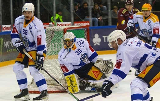 Photo hockey Suisse - National League -  : Genève vs Zug - Le Taureau et l