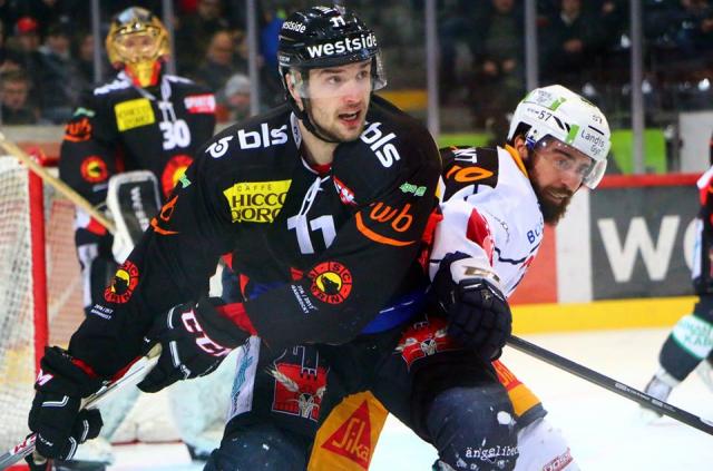 Photo hockey Suisse - National League - Suisse - National League : Bern (SC Bern) - NLA: Libérez les ours ! Photo hockey Suisse - National League - Suisse - National League : Bern (SC Bern) - NLA: Libérez les ours !