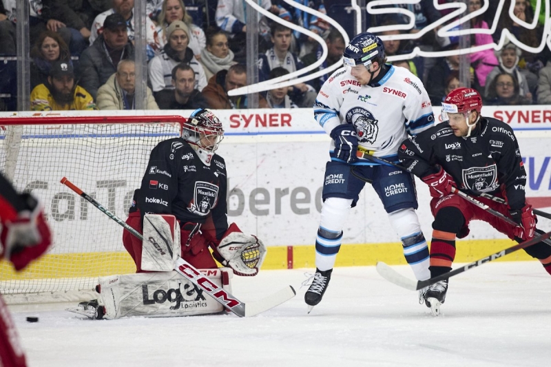 Photo hockey TELH - Tipsport Extraliga LednÃho Hokeje - TELH - Tipsport Extraliga LednÃho Hokeje - TELH : C Photo hockey TELH - Tipsport Extraliga LednÃho Hokeje - TELH - Tipsport Extraliga LednÃho Hokeje - TELH : C