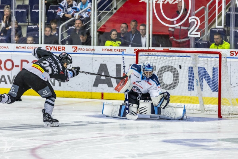Photo hockey TELH - Tipsport Extraliga LednÃho Hokeje - TELH - Tipsport Extraliga LednÃho Hokeje - TELH : La peau des tigres Photo hockey TELH - Tipsport Extraliga LednÃho Hokeje - TELH - Tipsport Extraliga LednÃho Hokeje - TELH : La peau des tigres