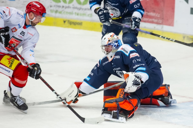 Photo hockey TELH - Tipsport Extraliga Ledního Hokeje - TELH - Tipsport Extraliga Ledního Hokeje - TELH : Les tigres blancs dans le bon wagon
