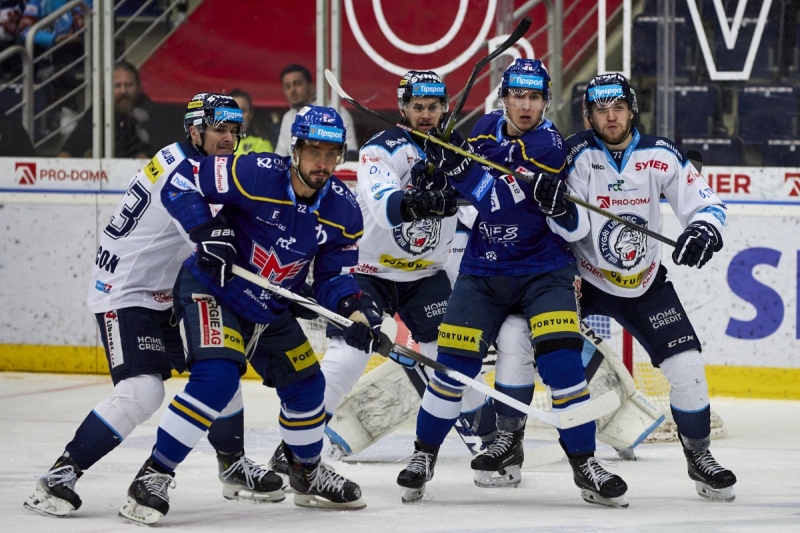 Photo hockey TELH - Tipsport Extraliga Ledního Hokeje - TELH - Tipsport Extraliga Ledního Hokeje - TELH : Replacement 