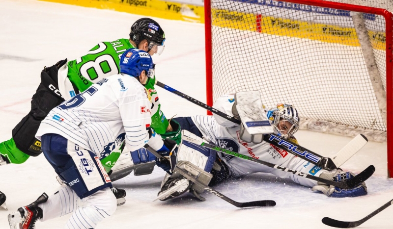 Photo hockey TELH - Tipsport Extraliga LednÃho Hokeje - TELH - Tipsport Extraliga LednÃho Hokeje - TELH : Survie et derbys Photo hockey TELH - Tipsport Extraliga LednÃho Hokeje - TELH - Tipsport Extraliga LednÃho Hokeje - TELH : Survie et derbys