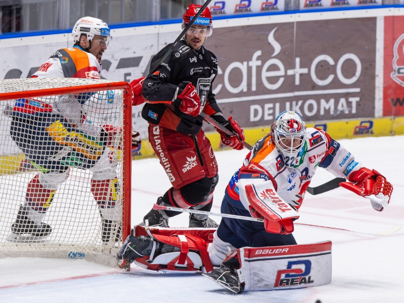 Photo hockey TELH - Tipsport Extraliga Ledního Hokeje - TELH - Tipsport Extraliga Ledního Hokeje - TELH : Encore blanchi