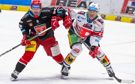 Photo hockey TELH - Tipsport Extraliga Ledního Hokeje - TELH - Tipsport Extraliga Ledního Hokeje - TELH : Présentation des quarts de finale
