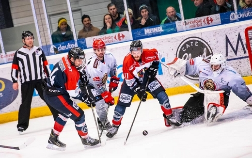 Les Pingouins dévorent les Grizzlys