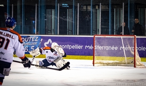 Montpellier – Clermont-Ferrand / Division 1 : 20ème journée