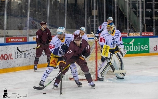 Les Aigles stoppent le taureau