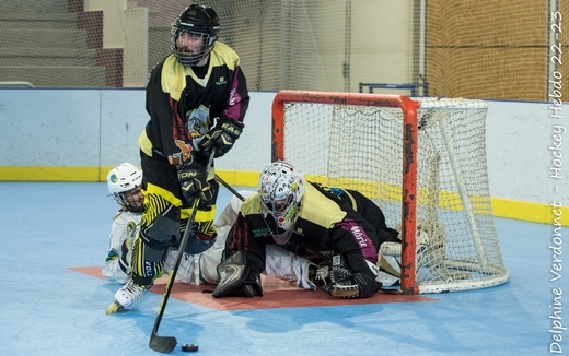 Roller N3 - Villard Bonnot s'impose face à Clermont