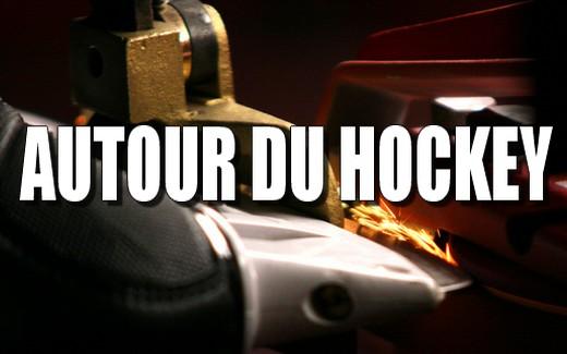 Nouvelle Chronique : Autour du Hockey