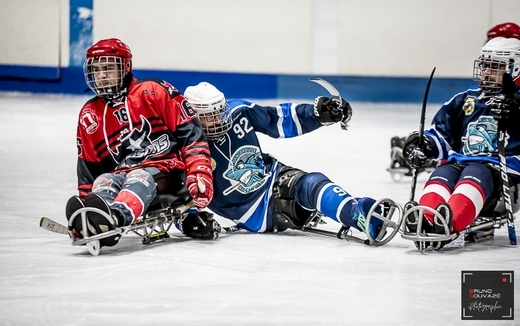Para-Hockey : Les Bisons comme des poissons dans l’eau chez les Requins