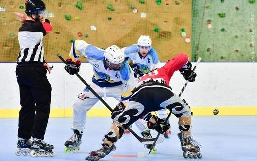 Roller N3 - Villard Bonnot - Strasbourg