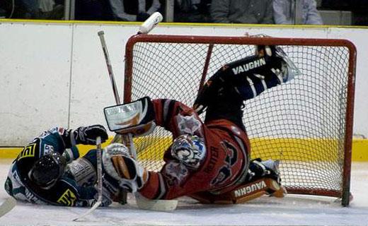 Conti Cup : Sheffield Steelers (ANG)