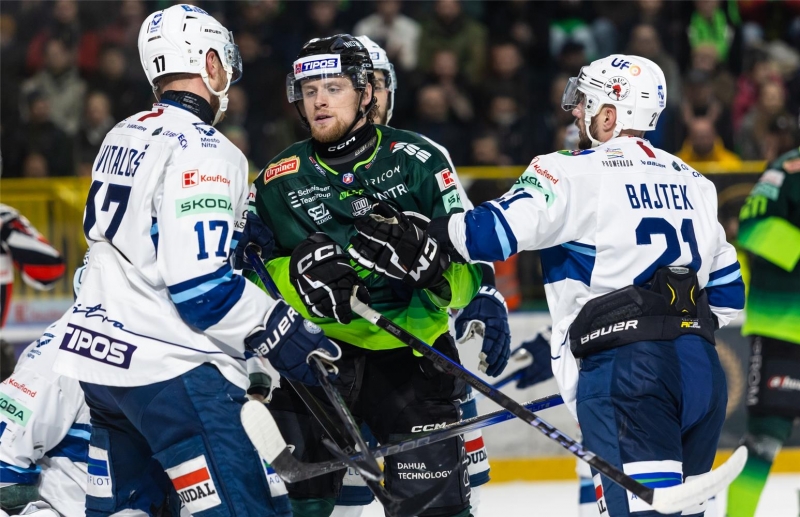 Tipos Extraliga : La puissance du champion