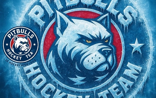 LE HOCKEY POUR TOUS - Pour rendre la glace inclusive