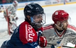Ligue Magnus - 1/2 de Finale - Match 6 : Angers  vs Grenoble 
